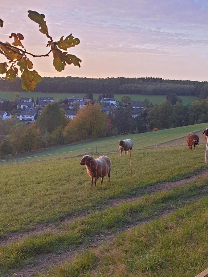 Andinas Ferienwohnung In Ruhiger Lage Direkt Am Wald ヴィルンスドルフ エクステリア 写真