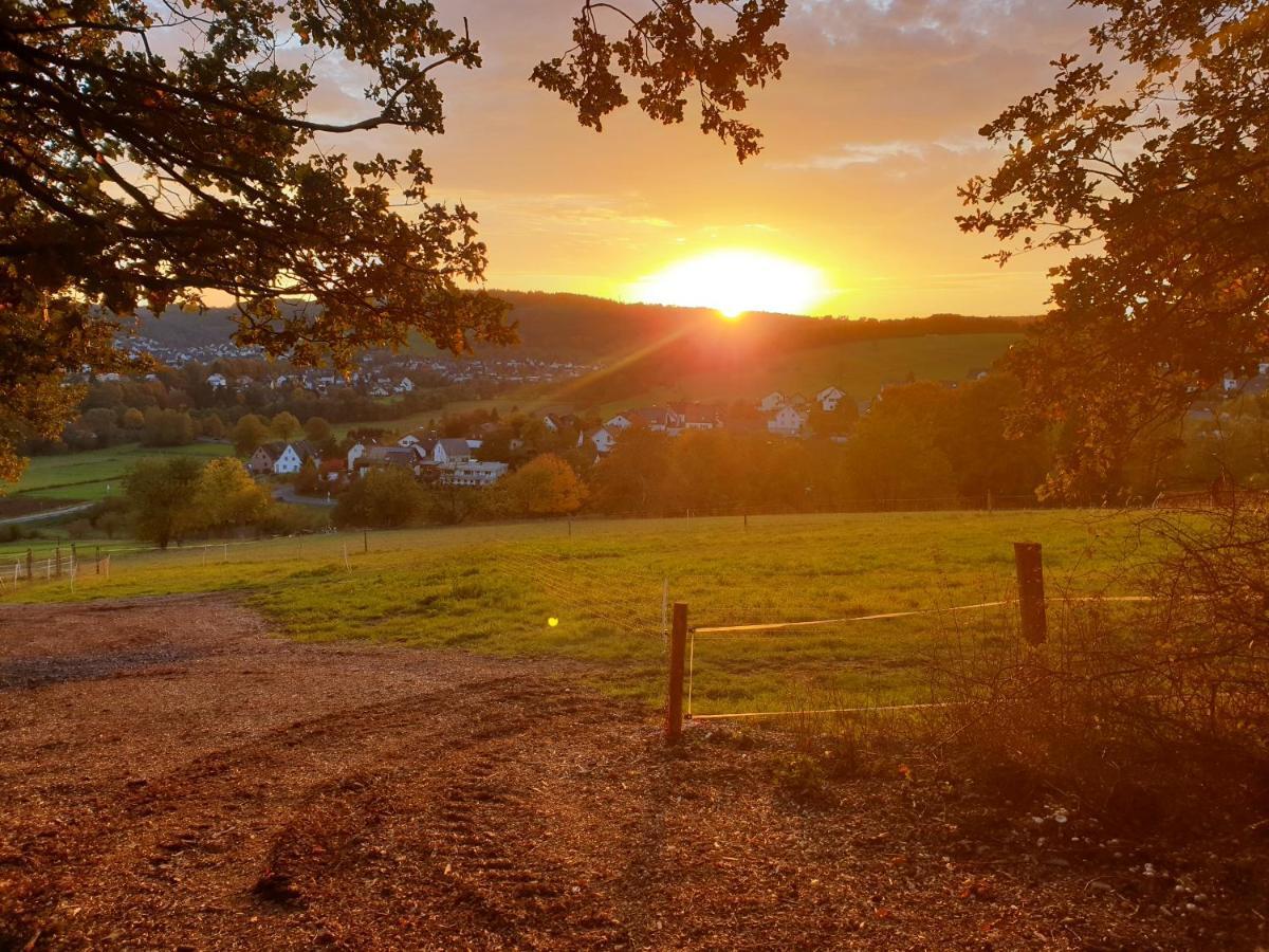 Andinas Ferienwohnung In Ruhiger Lage Direkt Am Wald ヴィルンスドルフ エクステリア 写真