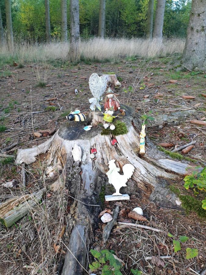 Andinas Ferienwohnung In Ruhiger Lage Direkt Am Wald ヴィルンスドルフ エクステリア 写真
